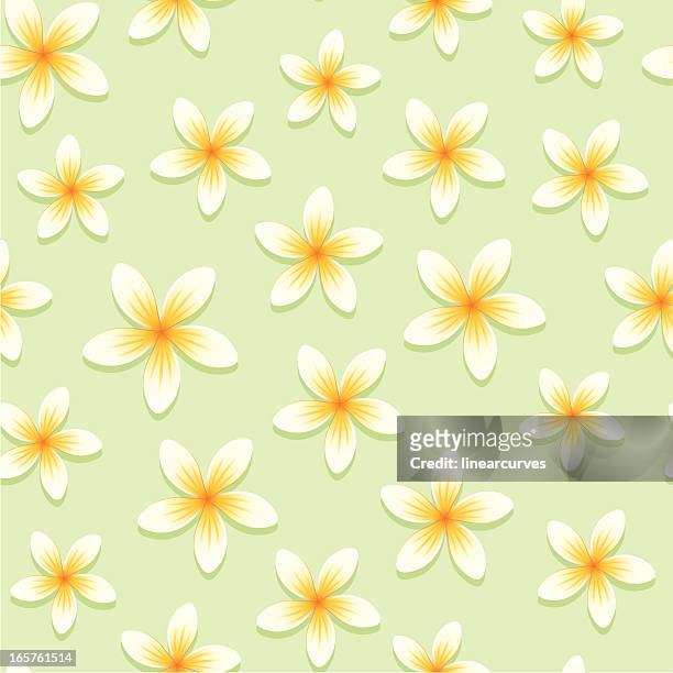 seamless frangipani (plumeria) pattern - plumeria stock illustrations