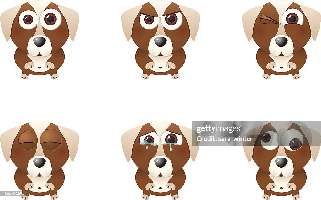 Collection of a big-eyed dog with different facial expressions