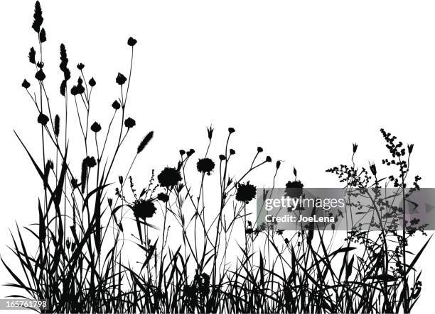 sommer-wiese-silhouette - prairie stock-grafiken, -clipart, -cartoons und -symbole