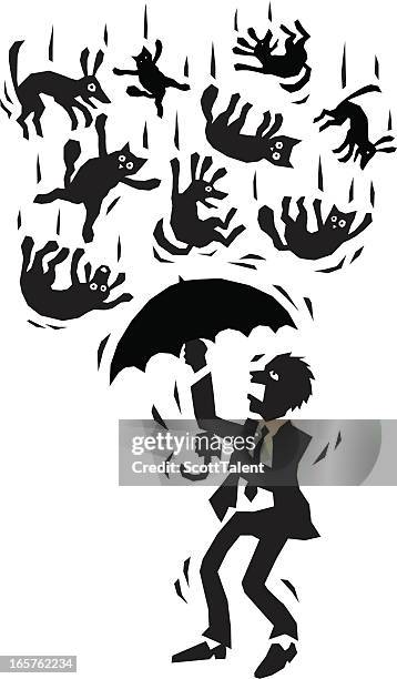 raining cats and dogs - angry wet cat stock illustrations