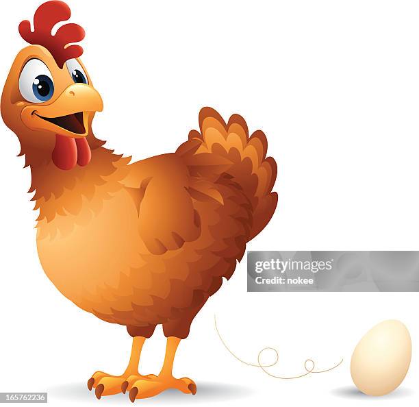 chicken - egg - laying egg stock illustrations