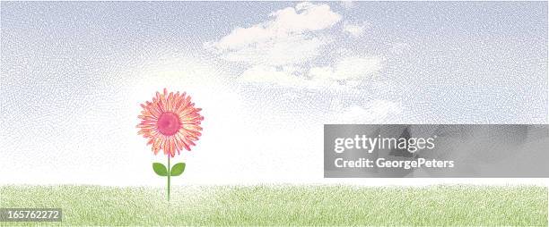 flower, grass and sky background - turf background stock illustrations