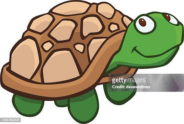 129 Cartoon Turtle Shell Photos and Premium High Res Pictures - Getty Images