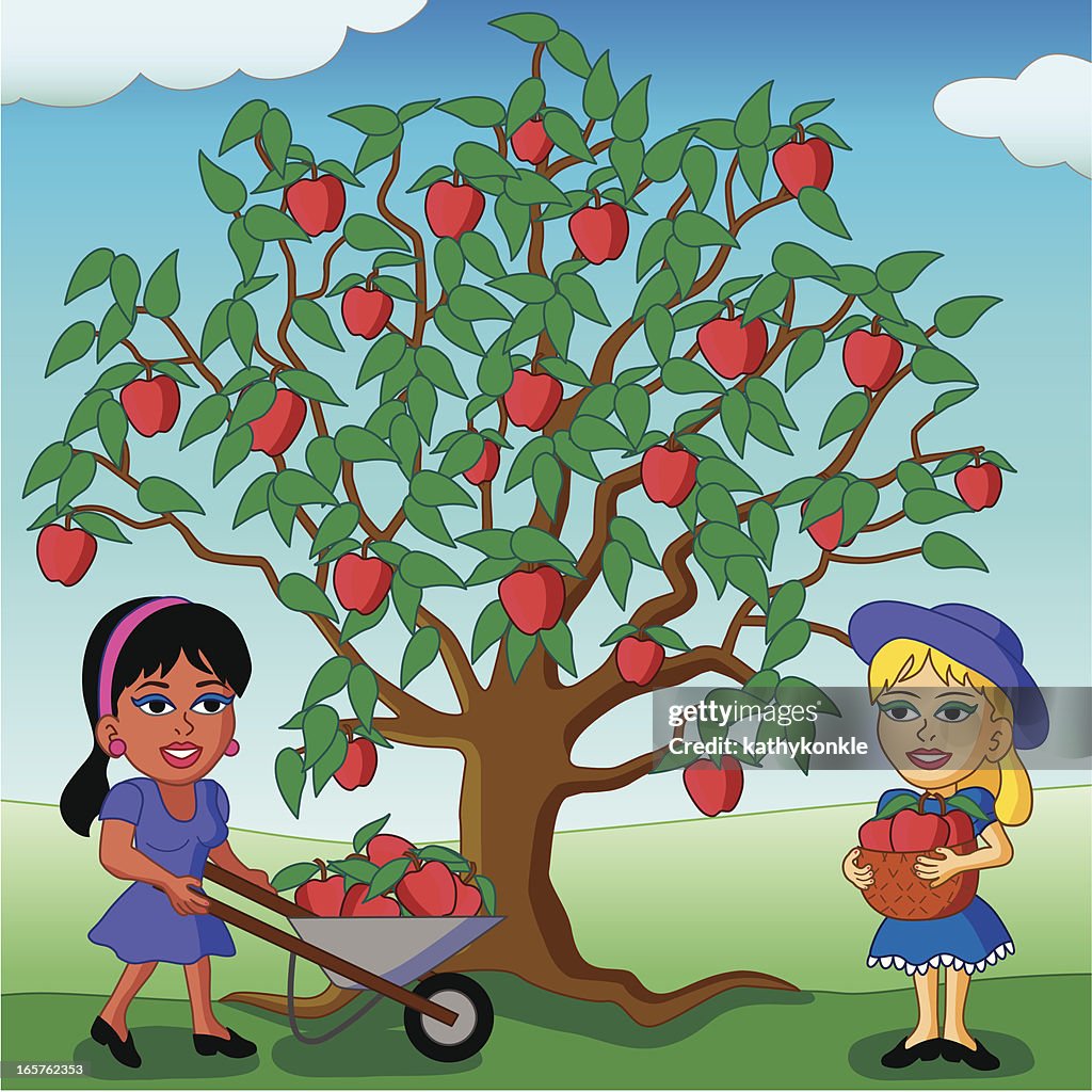 Apple picking
