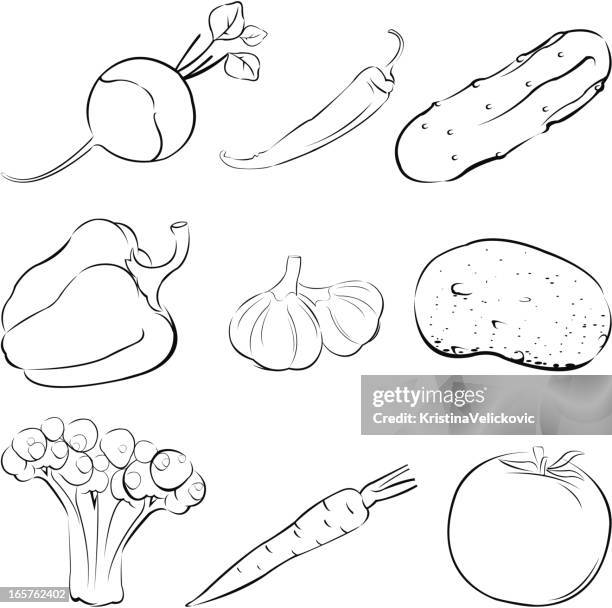 illustrations, cliparts, dessins animés et icônes de simple de légumes - courgette fond blanc