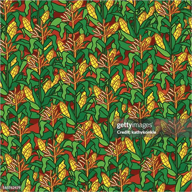 cornfield - cornfield background stock illustrations