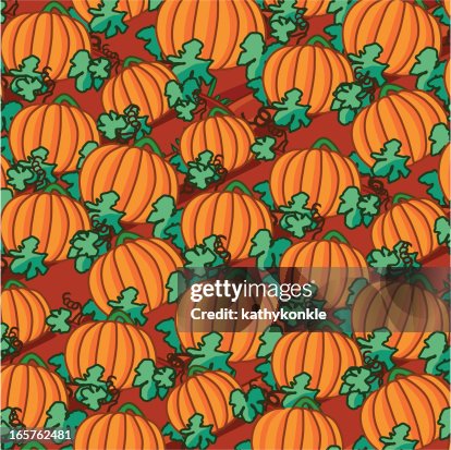 Pumpkin patch Pumpkin patch