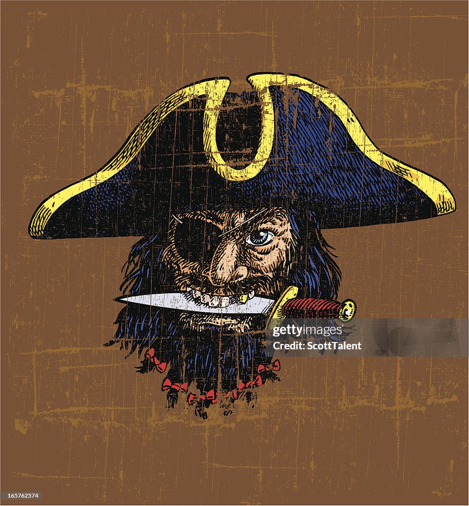 Sinal de Pirata