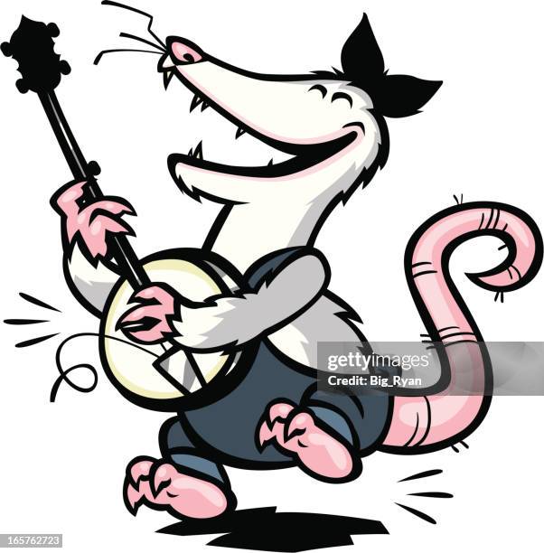 hillbilly opossum - redneck stock illustrations