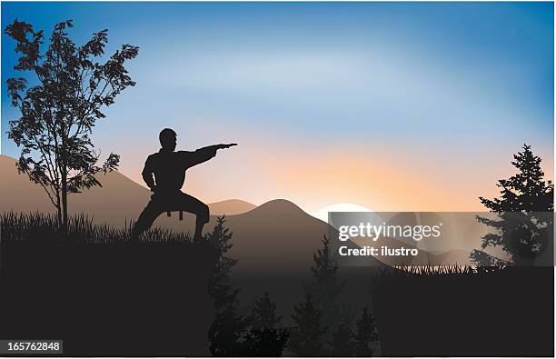 training in the mountains - jujitsu stock illustrations