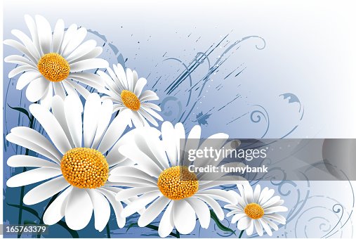 Spring backround Spring backround