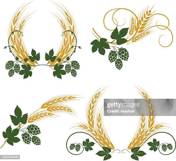 hop and barley - barley stock illustrations