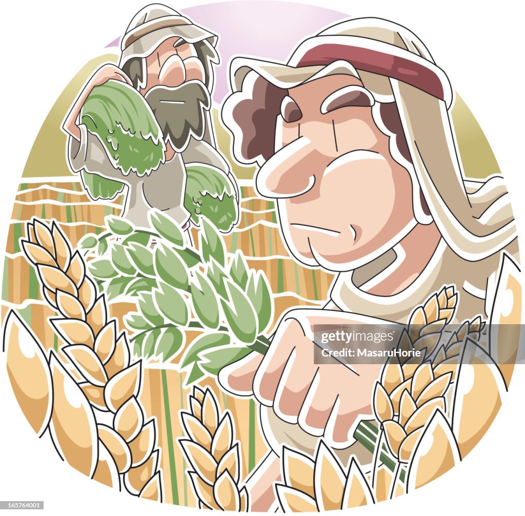 Parable of the Wheat and Tares