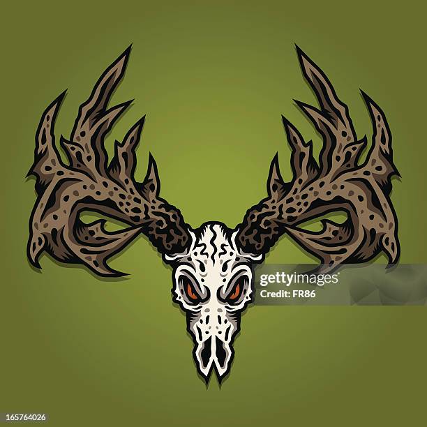 deer skull - deer skull stock illustrations