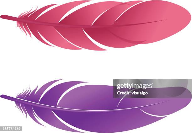 feather - feather stock illustrations
