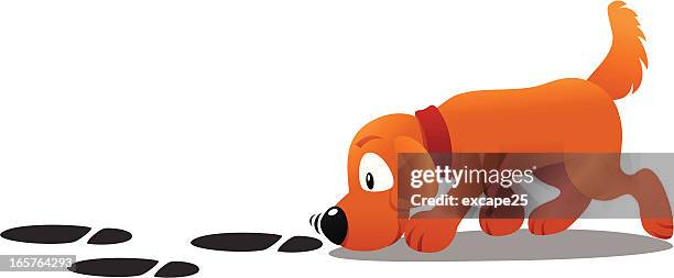 sniffing hund - riechen stock-grafiken, -clipart, -cartoons und -symbole