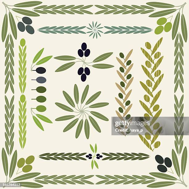 olive fruit and branch collection - olive branch stock illustrations