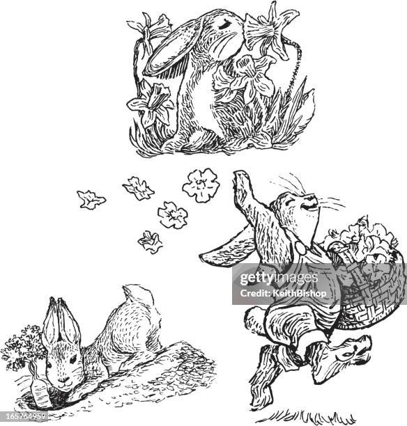 10,415 Pen And Ink Animal Stock Photos, High-Res Pictures, and Images ...