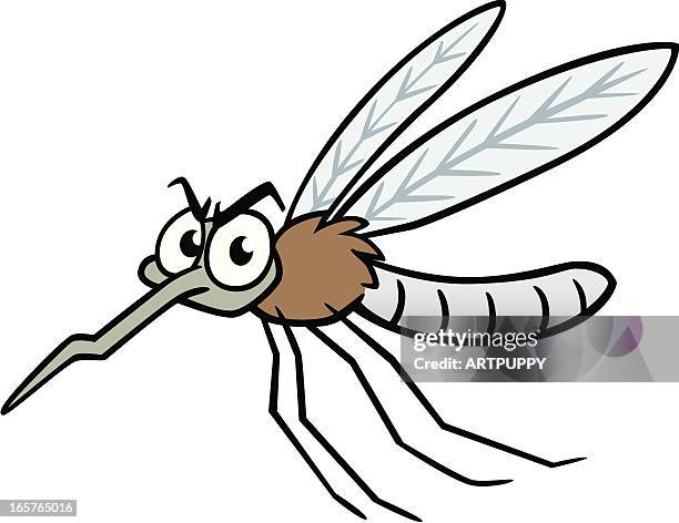 cartoon mosquito - mosquito vector stock illustrations