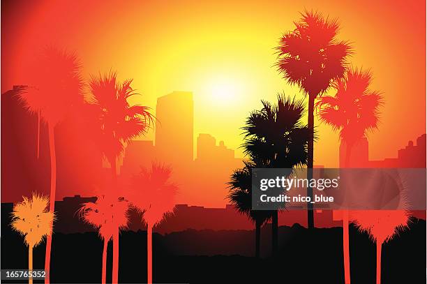 los angeles sunset - palm trees california stock illustrations