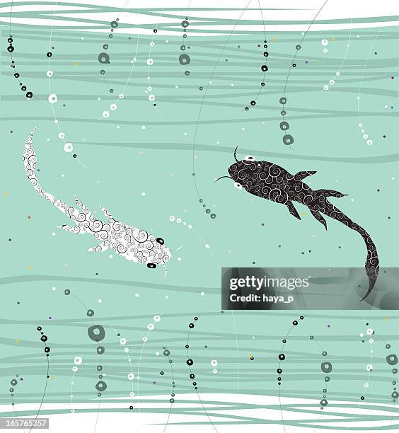 koi fish underwater - carp stock illustrations