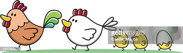 illustrazioni stock, clip art, cartoni animati e icone di tendenza di famiglia con bambini/gallo, gallina e chick fumetto - animale appena nato