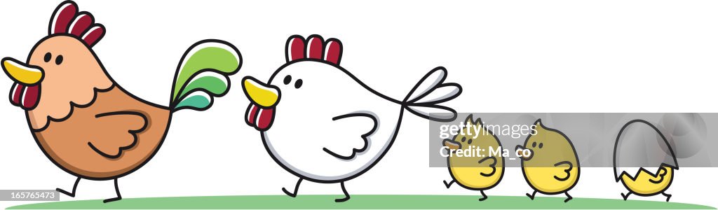 Família com crianças/Galo, Galinha e chick Mulher