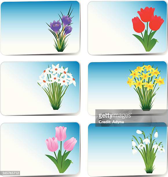 easter card - daffodil 幅插畫檔、美工圖案、卡通及圖標