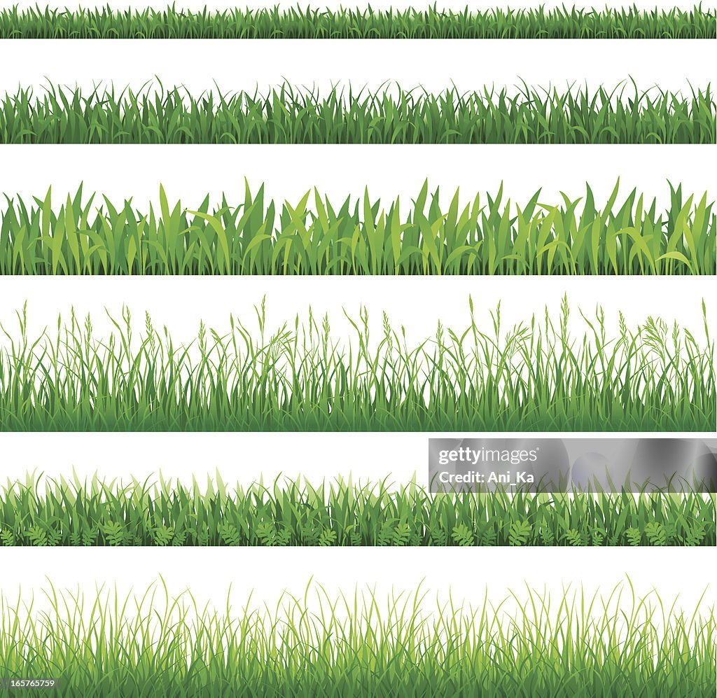 Sammlung von Gras