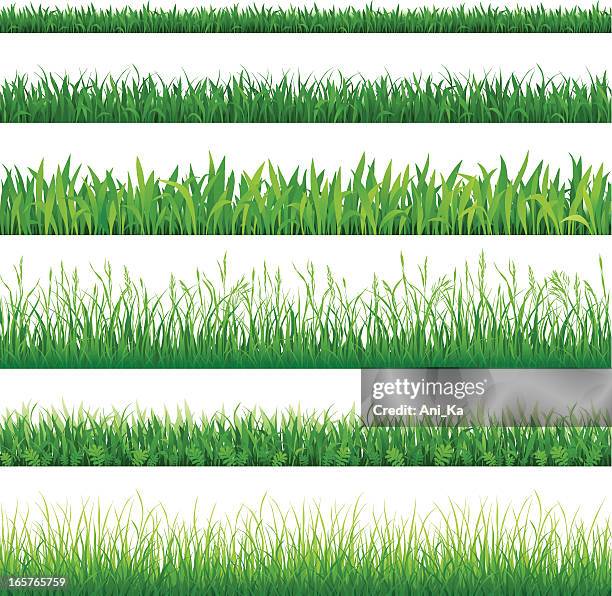 Ilustraciones de Pasto - Getty Images Ilustraciones de Pasto - Getty Images