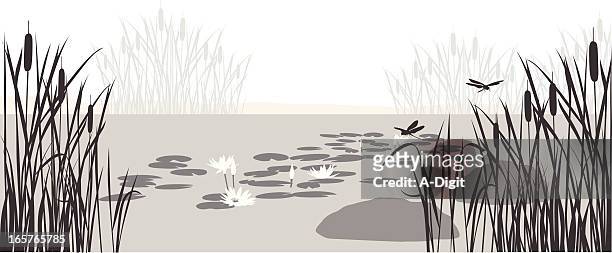 illustrazioni stock, clip art, cartoni animati e icone di tendenza di lilypond - dragonfly