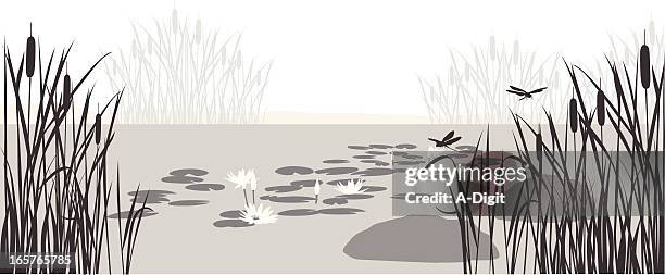 stockillustraties, clipart, cartoons en iconen met lily pond vector silhouette - odonata