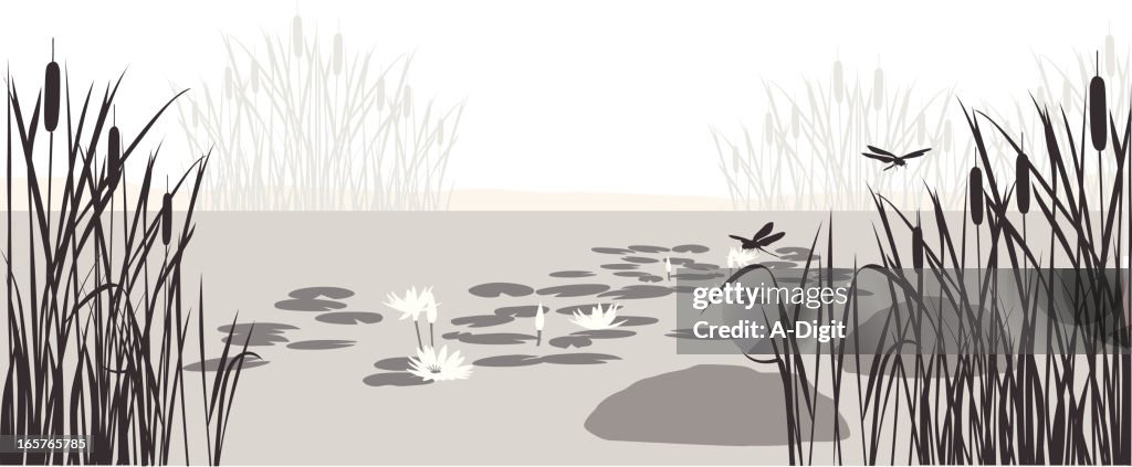 Lily Pond Vector Silhouette