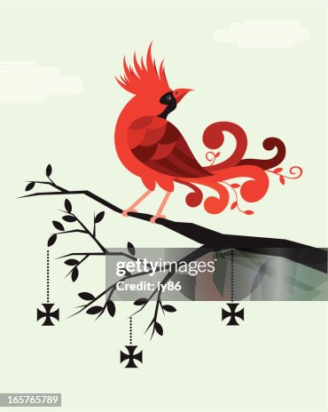 Cardinal Cardinal