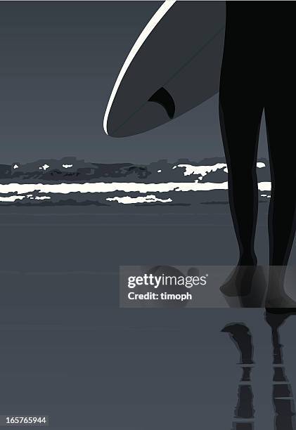 winter surf - winter beach stock illustrations