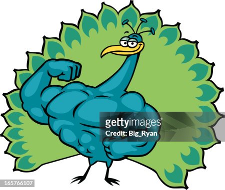 84 Peacock Cartoon Photos and Premium High Res Pictures - Getty Images