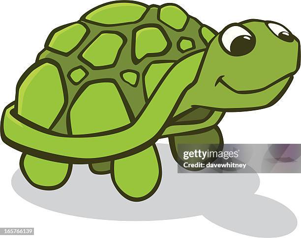 cartoon illustration of a green happy turtle - spotted turtle stock illustrations