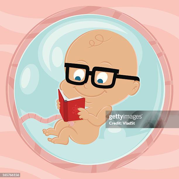 born smart - baby in the womb stock illustrations