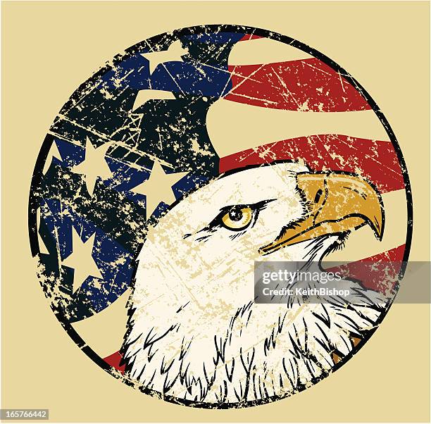 stockillustraties, clipart, cartoons en iconen met bald eagle bird with american flag weathered usa background - bald eagle with american flag