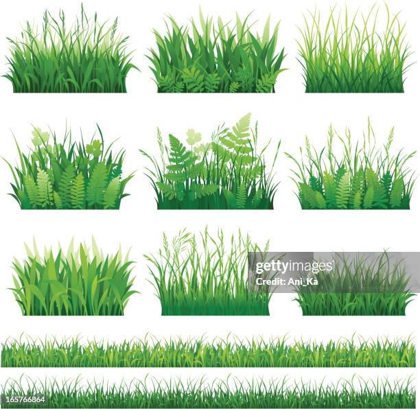 set of grass - blade of grass stock illustrations