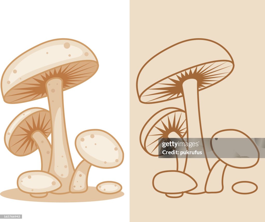 Mushrooms