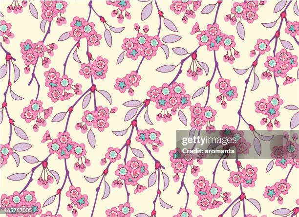 cherry blossom - cherry tree stock illustrations