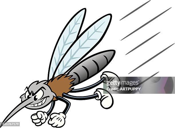 ilustrações, clipart, desenhos animados e ícones de mosquito dos - mosquito