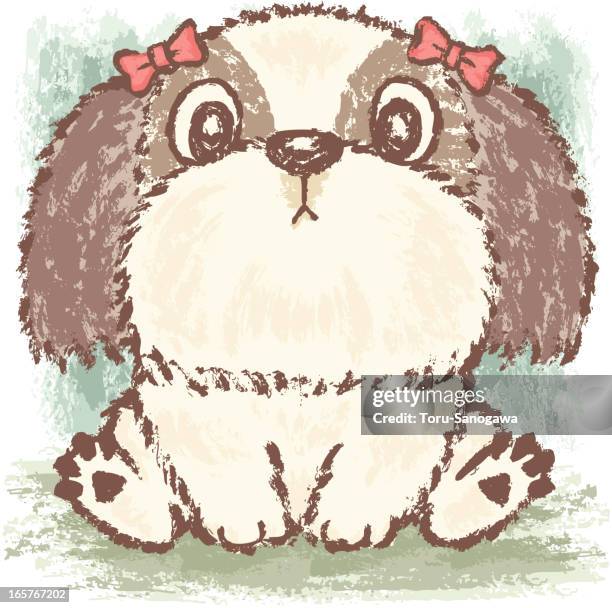 shih tzu sitting - shih tzu stock illustrations