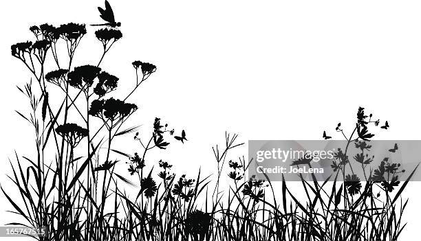 stockillustraties, clipart, cartoons en iconen met meadow silhouette - odonata