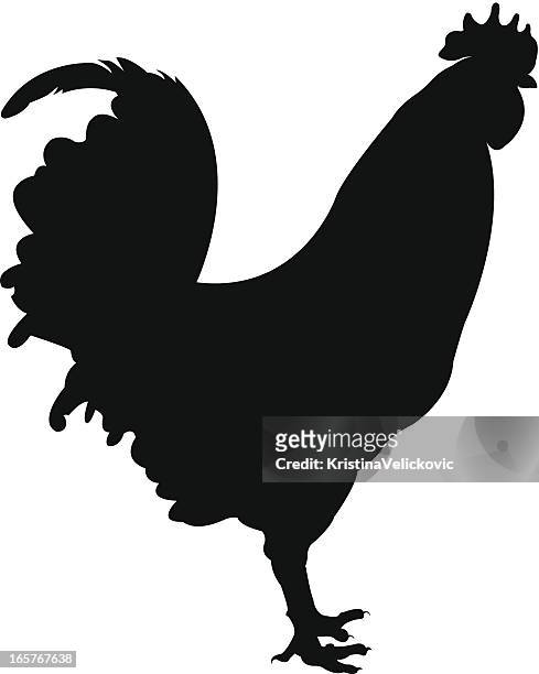 silhouette of a rooster on white background - rooster stock illustrations