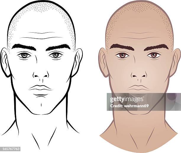 stockillustraties, clipart, cartoons en iconen met man without hair - haarloos