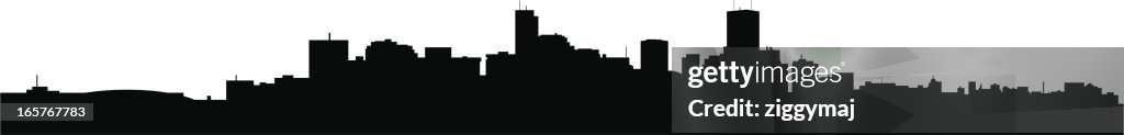 Denver Skyline