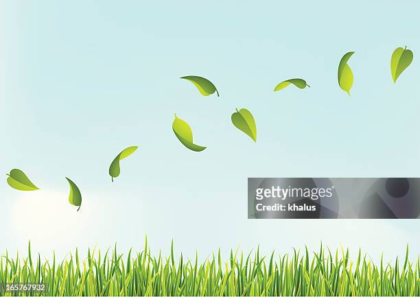 stockillustraties, clipart, cartoons en iconen met several leaves flying above the grass - grasspriet