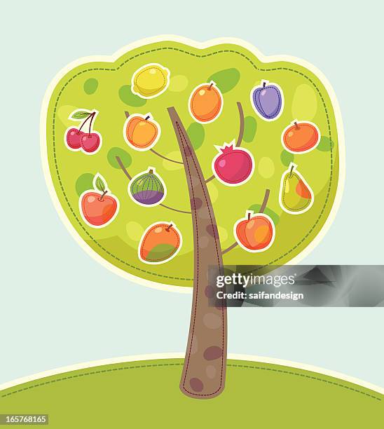 16点のみかん 収穫イラスト素材 Getty Images 16点のみかん 収穫イラスト素材 Getty Images
